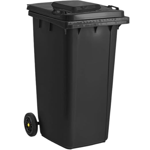 PRO&Family Wheeled Outdoor Trash Can Garbage Can Garage Trash Can for Restaurants/Hospitals/Offices/Back of House/Warehouses/Home (Black, 64 Gallon)
