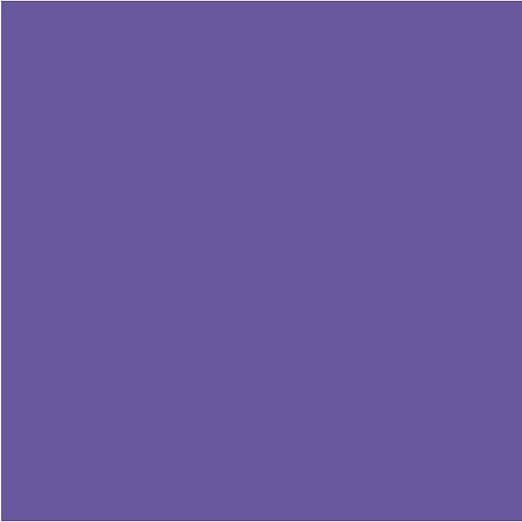 Elmer's Disappearing Purple School Glue Sticks, 22 Grams, Vision Board - Image 4