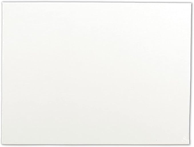 Winsor & Newton Artist's Canvas Board by WinsorNewton