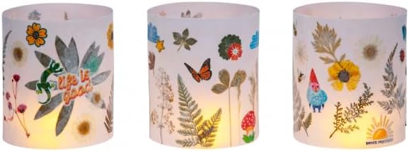 Craft-Tastic Nature Lantern - Image 5