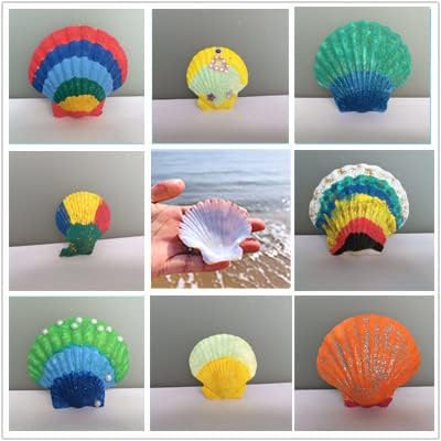 15 Pcs Sea Shells White Large Scallop Shells - Image 4