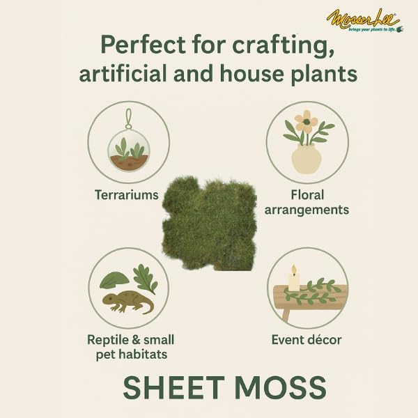 Mosser Lee ML0480 Natural Green Sheet Moss – 520 sq. in. – Organic Decorative - Image 2