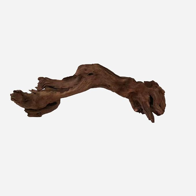 LYPHARD AQUARIUMS Natural Driftwood - Image 4