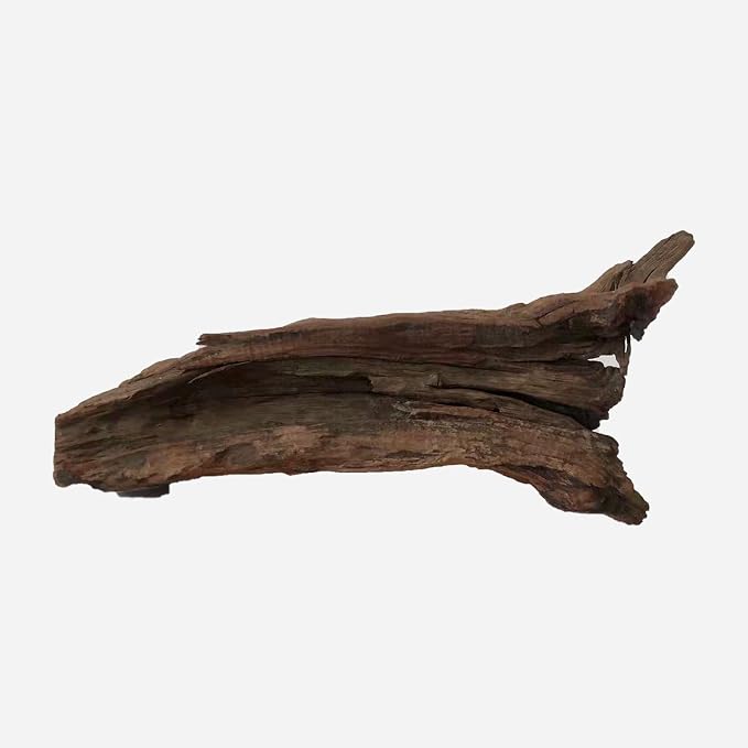 LYPHARD AQUARIUMS Natural Driftwood by LYPHARDAQUARIUMS