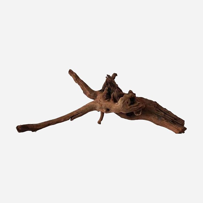 LYPHARD AQUARIUMS Natural Driftwood by LYPHARDAQUARIUMS