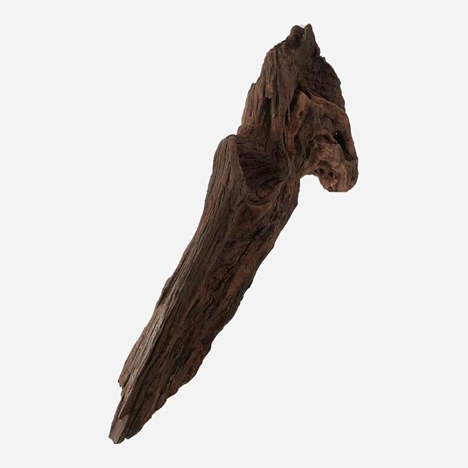 LYPHARD AQUARIUMS Natural Driftwood - Image 4