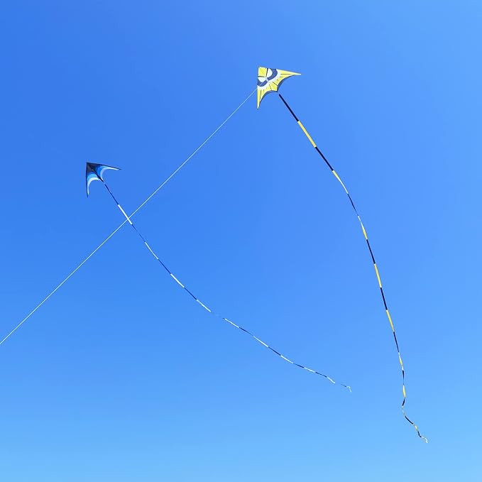 Large Single Line Beach Kite for Adults - Image 5