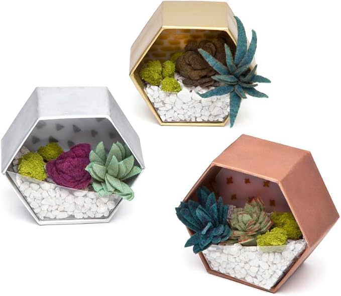 Craft Crush — Mini Plants Terrariums Easy Fun Arts and Craft Kit — Make 3 - Image 3