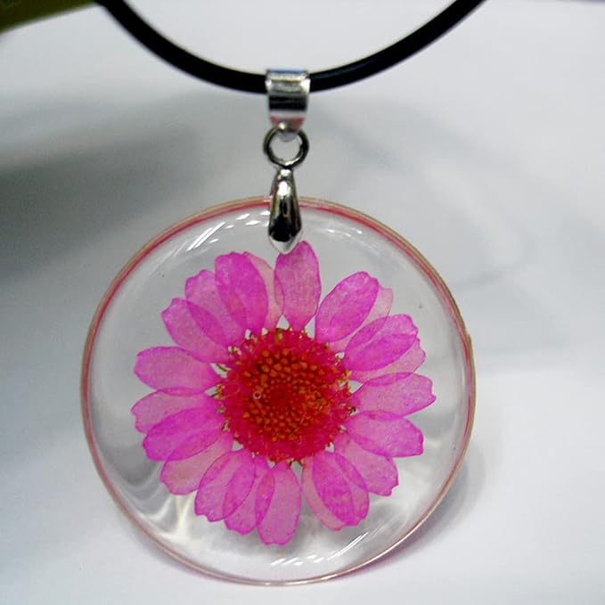 50pcs Natural Dried Daisy Flower, Vacuum Packaging, Pressed Flower - Image 3