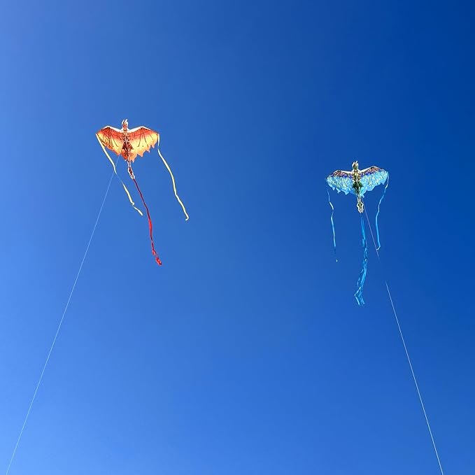 Dragon Kite for Kids & Adults - Image 5