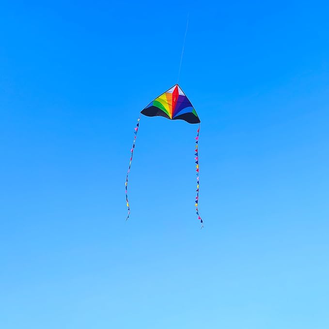 Large Single Line Beach Kite for Adults - Image 6