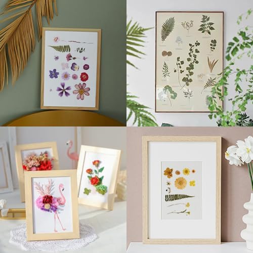 100 PCS Purple Pressed Dried Flowers and Leaves - Image 5