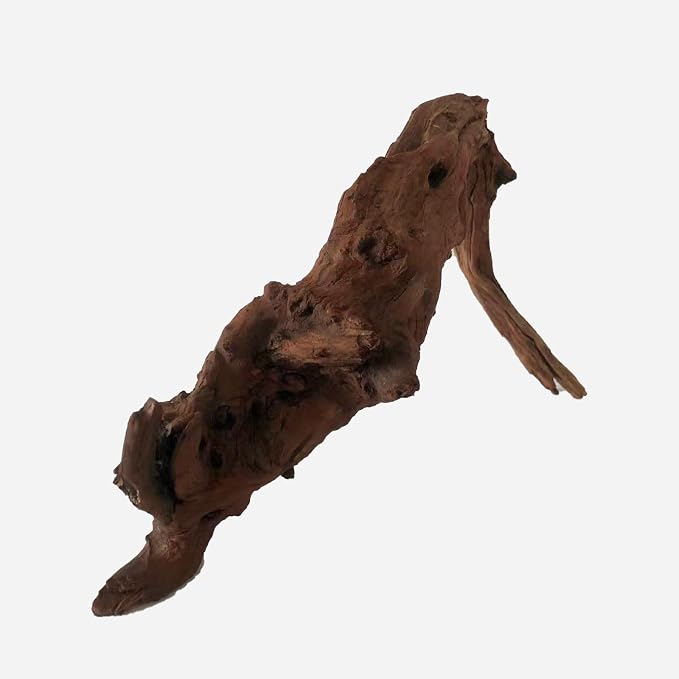 LYPHARD AQUARIUMS Natural Driftwood - Image 4