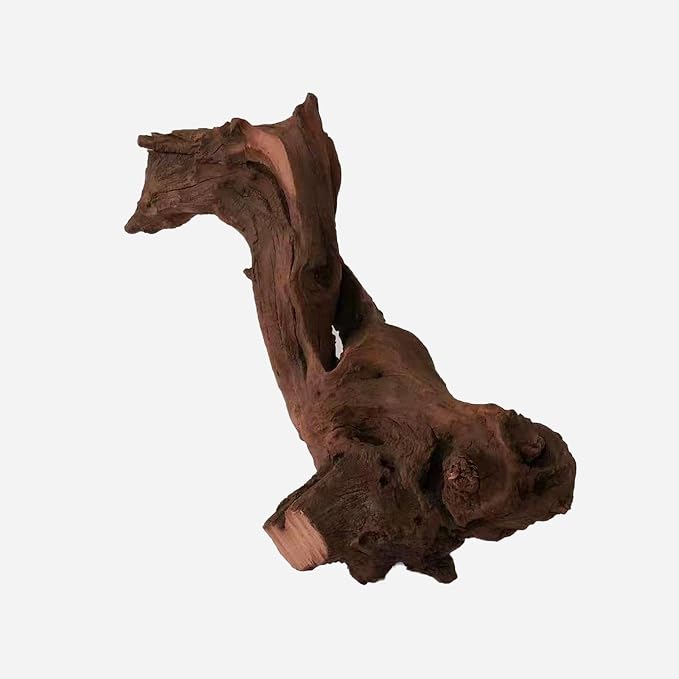 LYPHARD AQUARIUMS Natural Driftwood - Image 4