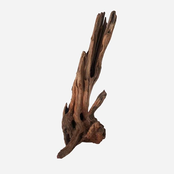 LYPHARD AQUARIUMS Natural Driftwood - Image 4