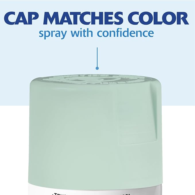 Rust-Oleum Painter's Touch 2X Ultra Cover Spray Paint, Satin Renew | Indoor and - Image 7