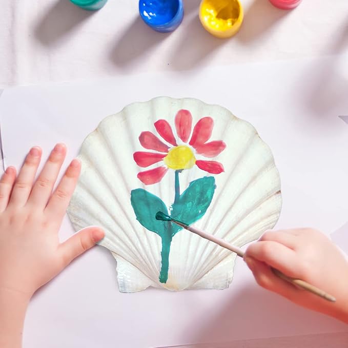15 PCS 3.5-4 inch Large Scallop Shells Baking Sea Shells Large Natural White - Image 3