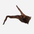 LYPHARD AQUARIUMS Natural Driftwood by LYPHARDAQUARIUMS