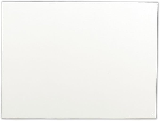 Winsor & Newton Artist's Canvas Board by WinsorNewton