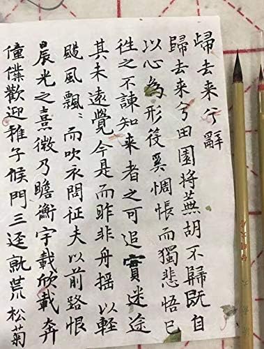 Professional Calligraphy brush, Xiaokai Chinese Brush - Image 6