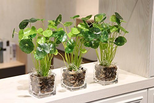 Pebbles Polished Gravel, Natural Polished Mixed Color Stones, 0.5-1.2inch Small - Image 7