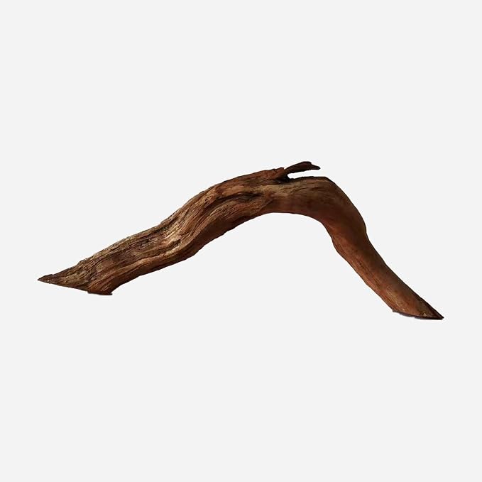 LYPHARD AQUARIUMS Natural Driftwood by LYPHARDAQUARIUMS