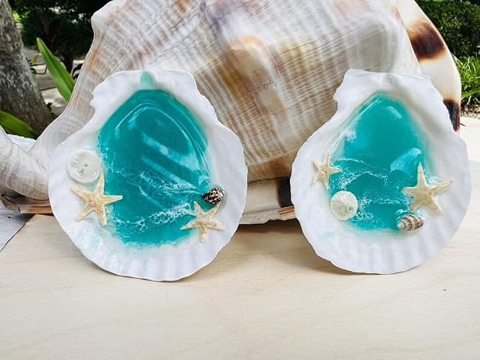 SEAJIAYI 30 PCS Scallop Shells 2-3 Inch Natural White Sea Shells from Sea Beach - Image 5