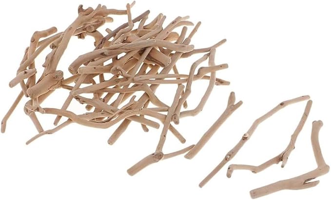 Assorted Natural Driftwood Pieces Wood Craft Small Sticks by Peosaard