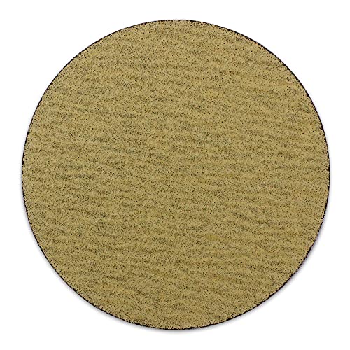 BHA 5" Inch No Hole Hook and Loop Sanding Discs for Orbital DA Sanders - 100 Pack (180 Grit)