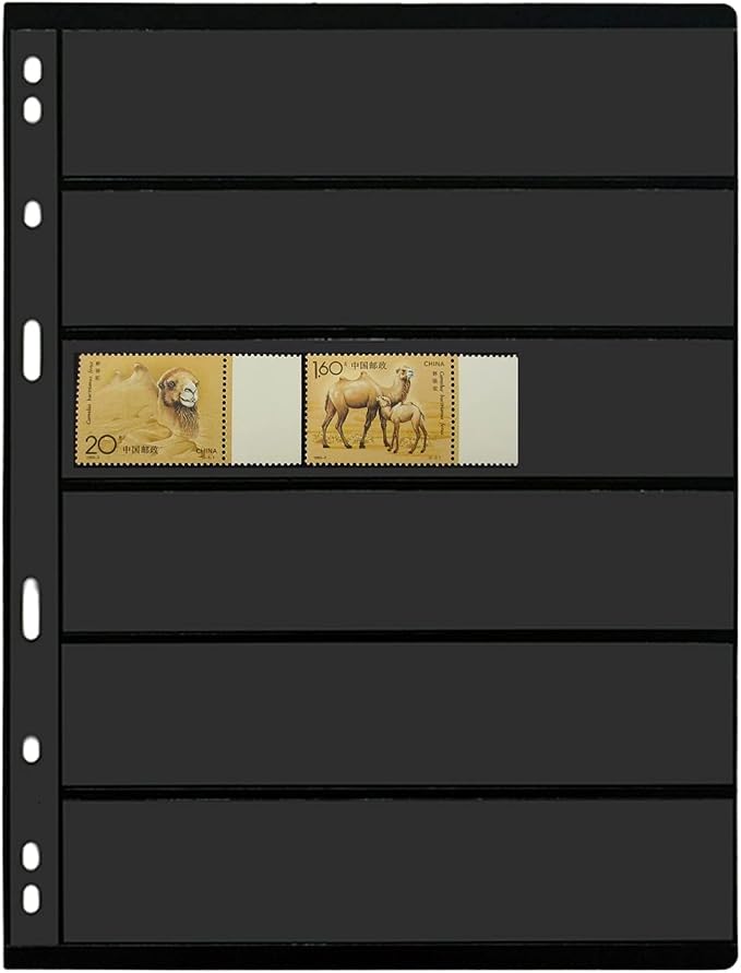 MUDOR 20 Sheets Stamp Pages for Collection Album Binder Book, 6 Pocket | 240 by MUDOR