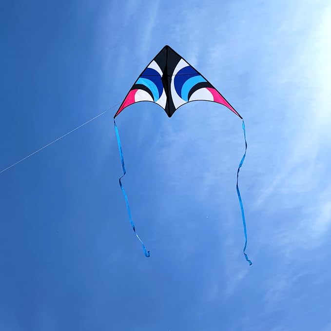 Large Single Line Beach Kite for Adults - Image 5