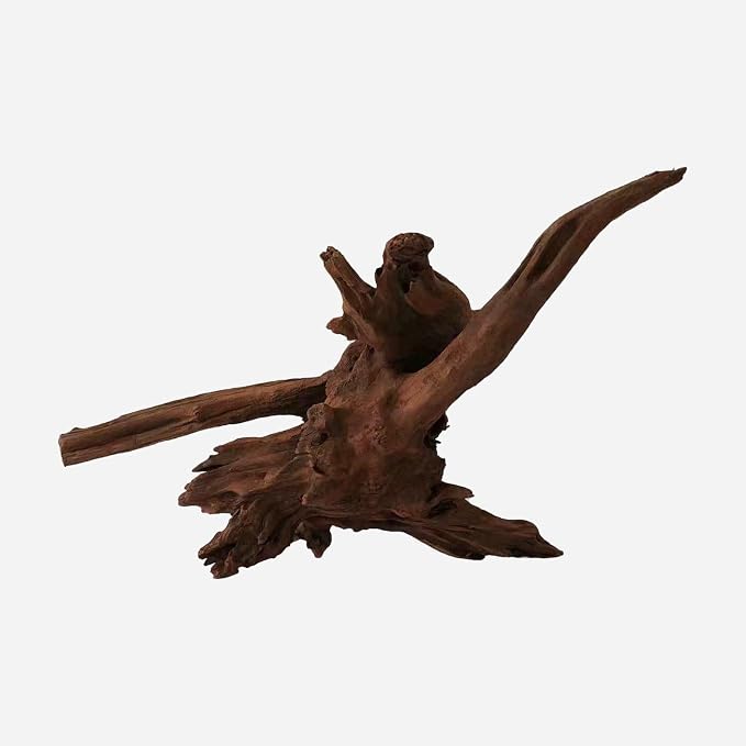 LYPHARD AQUARIUMS Natural Driftwood by LYPHARDAQUARIUMS