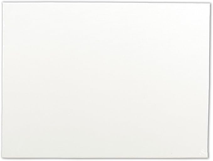 Winsor & Newton Artist's Canvas Board by WinsorNewton