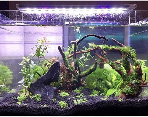 PINVNBY Large Driftwood for Aquarium Fish Tank Decorations Natural Assorted - Image 6