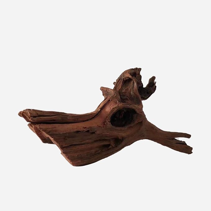 LYPHARD AQUARIUMS Natural Driftwood - Image 4