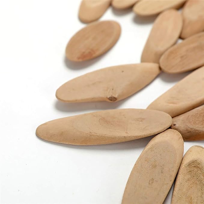 20 Pcs Natural Driftwood Pieces Branch Slices Craft Sticks Beach Decor - Image 2