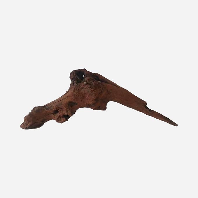 LYPHARD AQUARIUMS Natural Driftwood by LYPHARDAQUARIUMS
