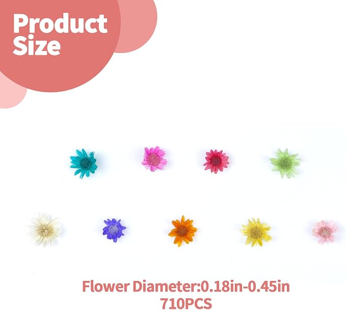 710 PCS Mini Dried Flowers for Resin, Small Dried Flowers for Crafts, - Image 2