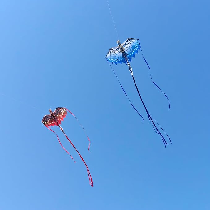 Dragon Kite for Kids & Adults - Image 5