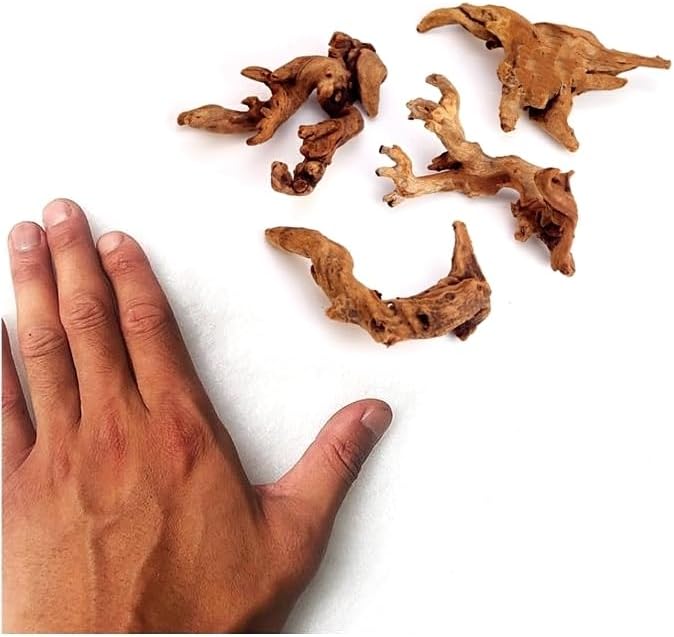YZHZOM Small Natural Driftwood for Aquarium Styling Carefully Selected Natural - Image 4