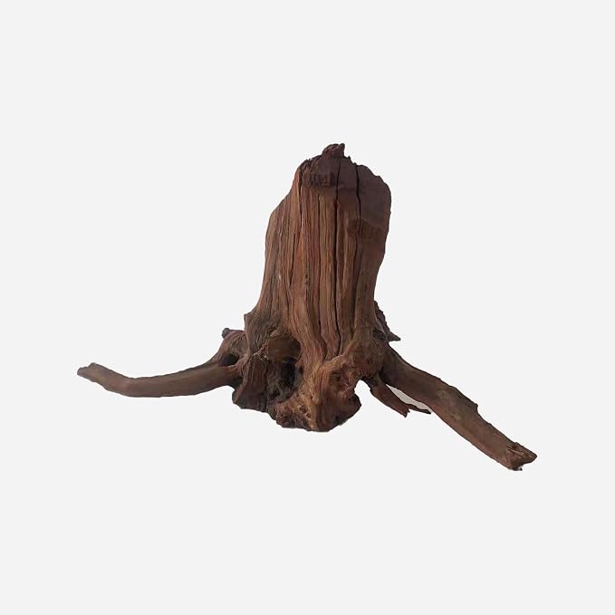 LYPHARD AQUARIUMS Natural Driftwood - Image 2