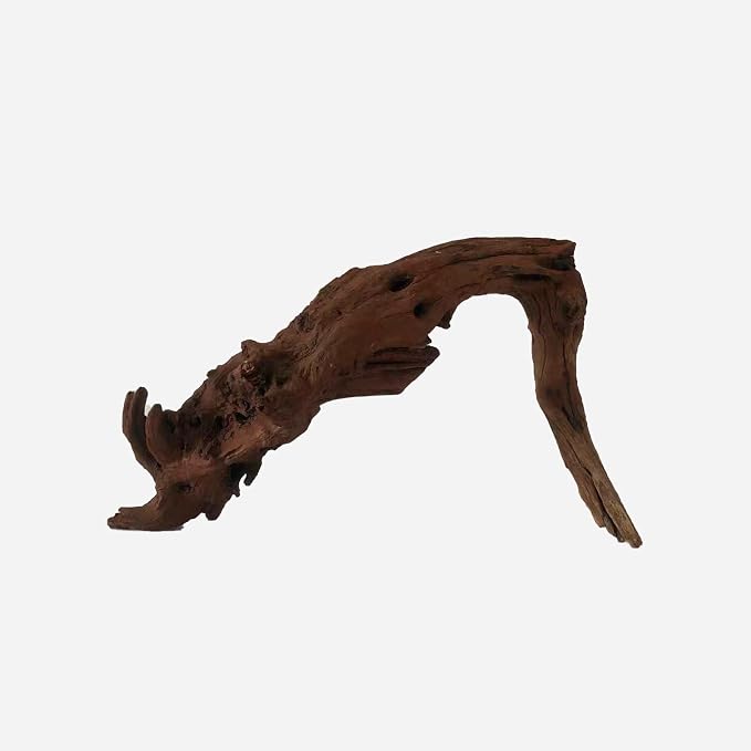LYPHARD AQUARIUMS Natural Driftwood by LYPHARDAQUARIUMS