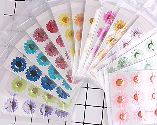 60Pcs White Dried Daisy Pressed Flowers - Image 3