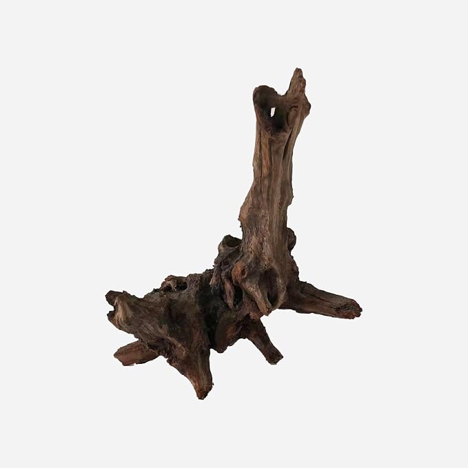 LYPHARD AQUARIUMS Natural Driftwood by LYPHARDAQUARIUMS