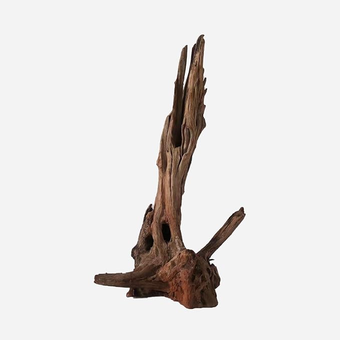 LYPHARD AQUARIUMS Natural Driftwood by LYPHARDAQUARIUMS