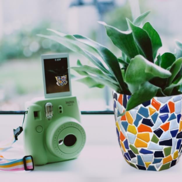 jiezaidada DIY Mosaic Planter Kit – All-in-One Ceramic Tile Craft - Image 4