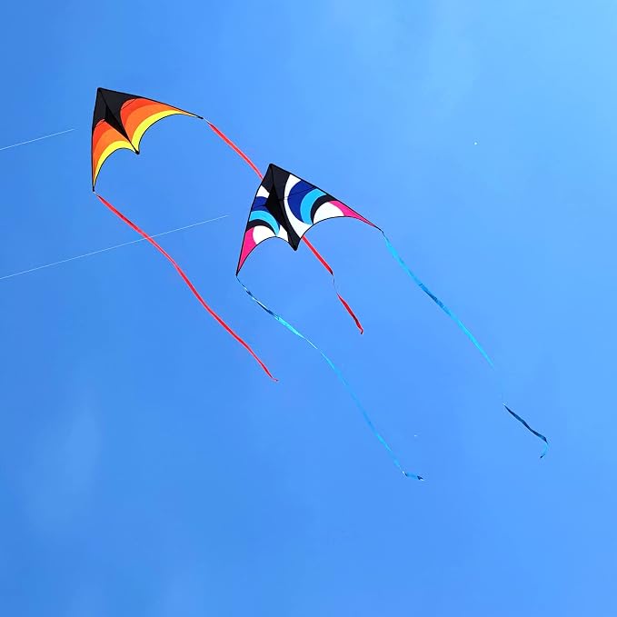Large Single Line Beach Kite for Adults - Image 6