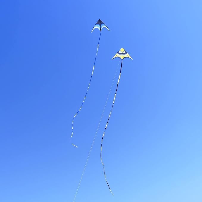Large Single Line Beach Kite for Adults - Image 7