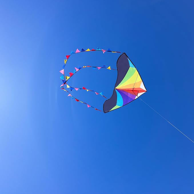 Large Single Line Beach Kite for Adults - Image 5