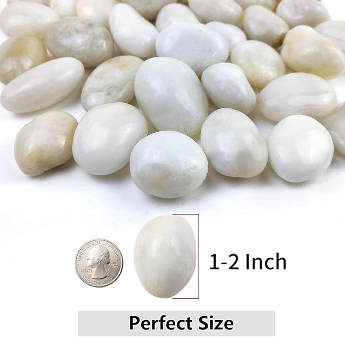 YISZM 20lbs White River Rocks, 1-2 Inch Natural Pebbles - Image 2